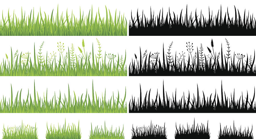 Green Grass - Seamless Pattern and Silhouettes - Illustration Drawing by Pop_jop