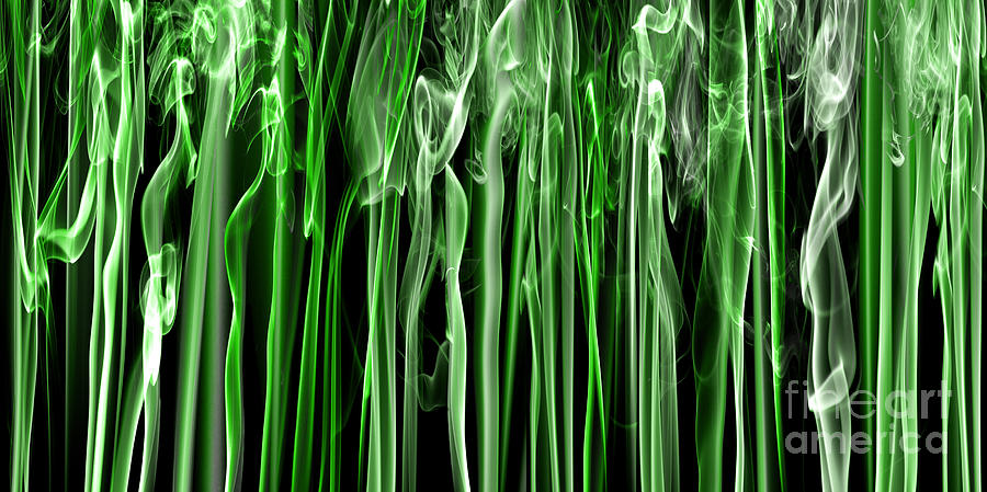 Green Grass Smoke Photography Photograph by Sabine Jacobs
