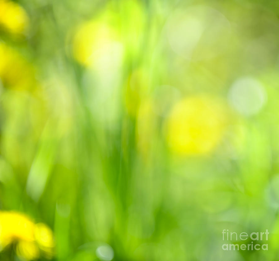 Abstract Photograph - Green grass with yellow flowers abstract by Elena Elisseeva