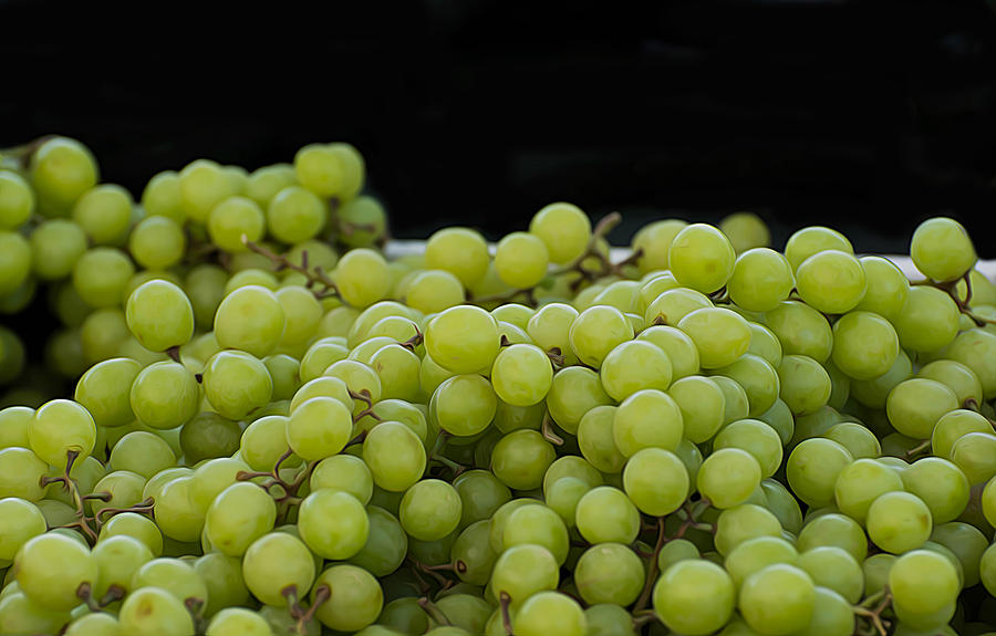 Green Green Grapes Photograph by Michael Moriarty Green Green Grapes Photograph by Michael Moriarty