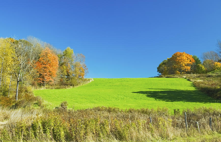 Green Hay Field And Autumn Trees In Maine Photograph by Keith Webber Jr