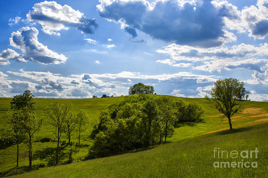 Green Hill Photograph by Rick Bragan
