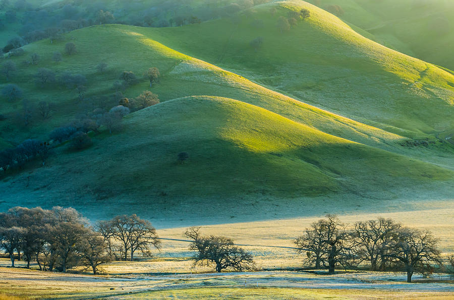 Green Hills And Frost Photograph by Marc Crumpler