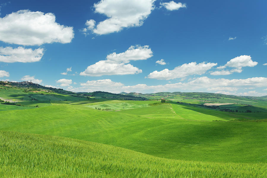 Green Hills In Tuscany Photograph by Mammuth