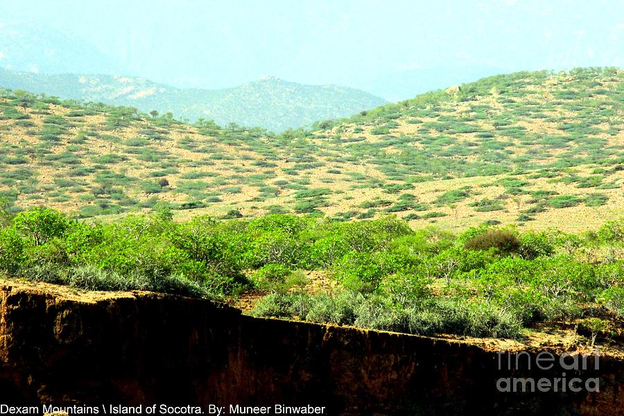 Green Hills Photograph - Green Hills by Muneer Binwaber