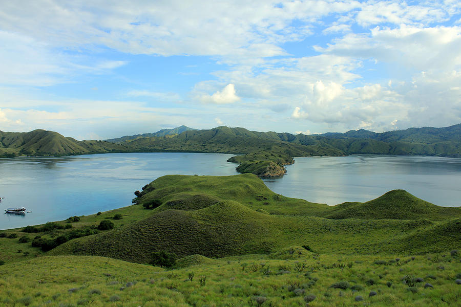 Green hills of Komodo Photograph by Sergey Lukashin | Fine Art America