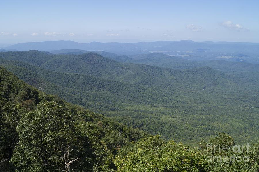 Green Hills of the Blue Ridge Photograph by MM Anderson