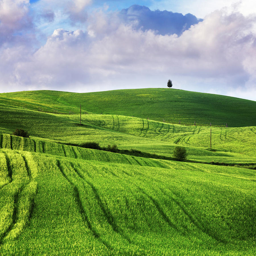 Green Hills Of Tuscany Photograph by Mammuth