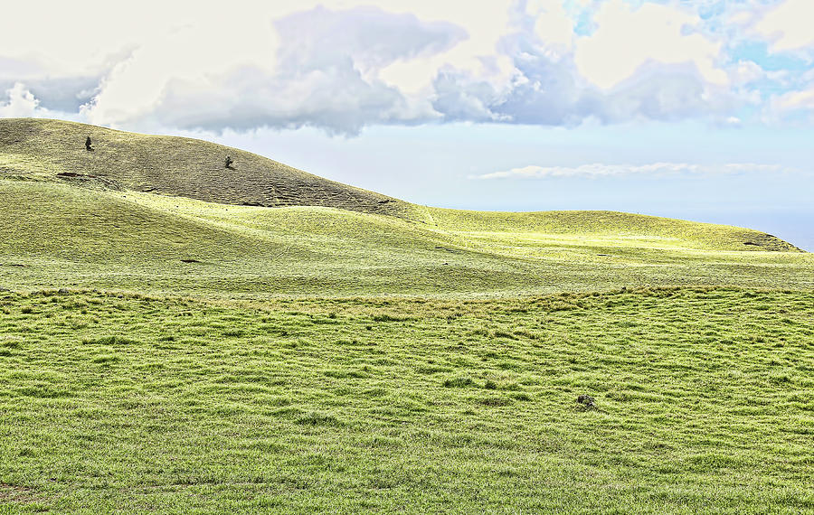 Hills Photograph - Green Hills by Philip Tolok