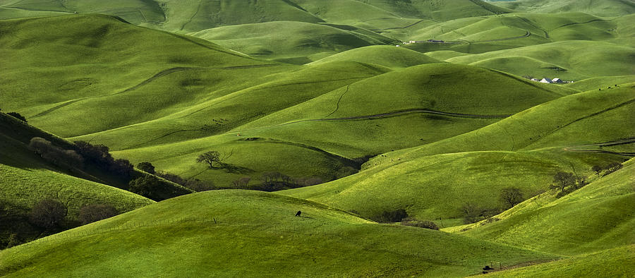 Nature Photograph - Green Hills by Radek Hofman