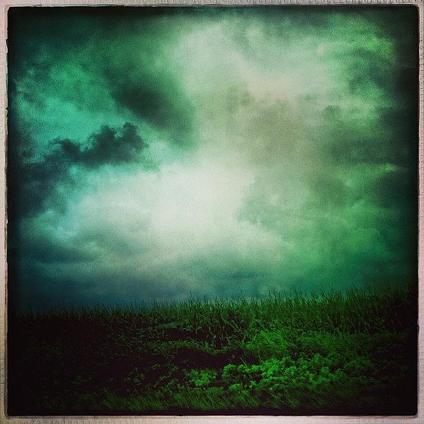 Hipstamatic Photograph - Green #hipstamatic by Mary Ann Reilly