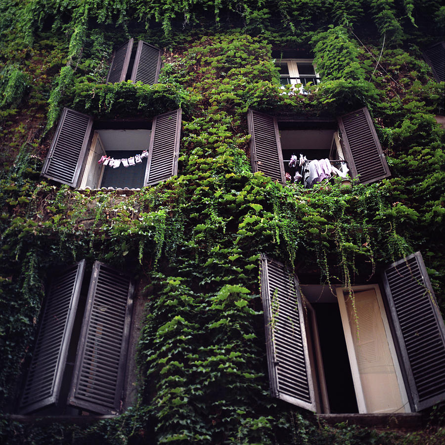 Green House Photograph by Andriy Onufriyenko