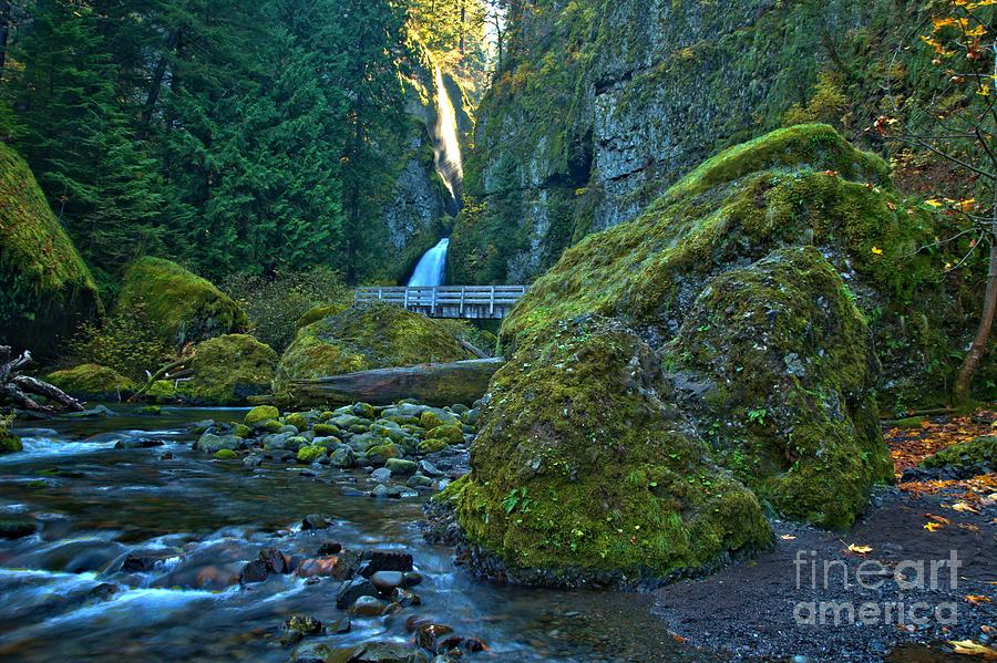 Green In The Gorge Photograph by Adam Jewell