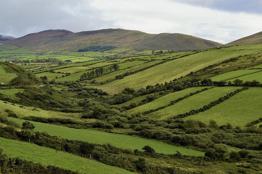Green Is My Irish Valley Photograph by Nadalyn Larsen