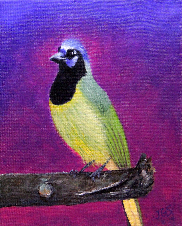 Green Jay Painting by Janet Greer Sammons