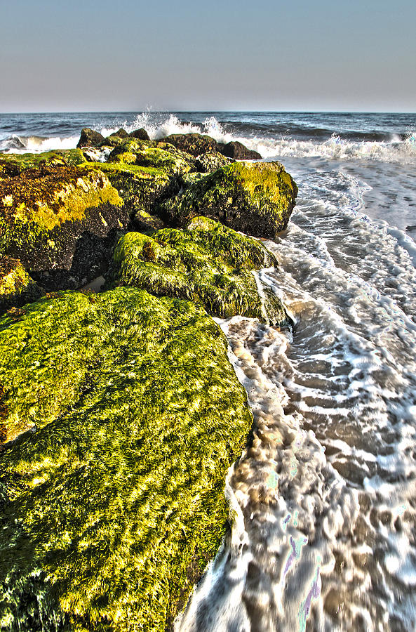 Green Jetty - Westhampton Beach NY Photograph by Robert Seifert