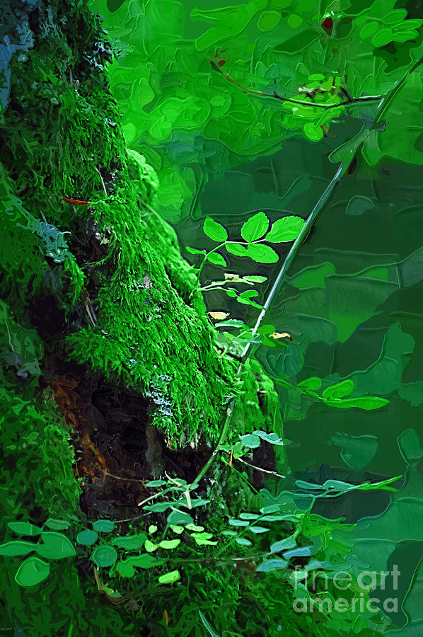 Lush Green Forest Painting by Kirt Tisdale