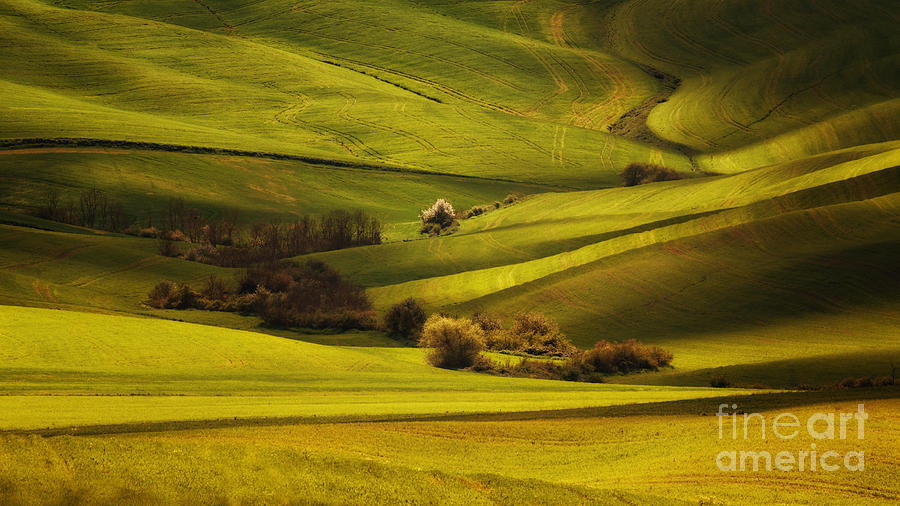 Green Land Photograph by Jaroslaw Blaminsky