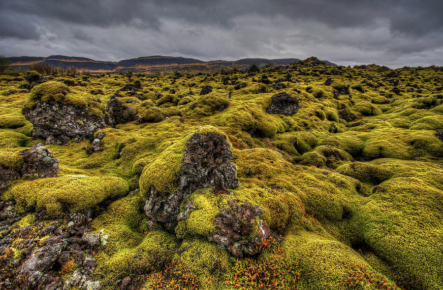 Green Land by Matt Frankel