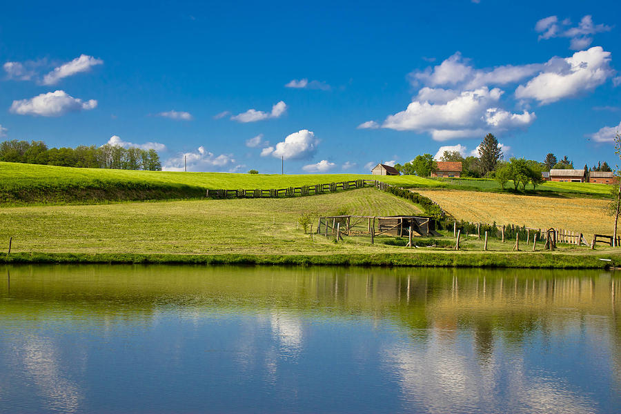 Green landscape and blue lake and sky Photograph by Brch Photography