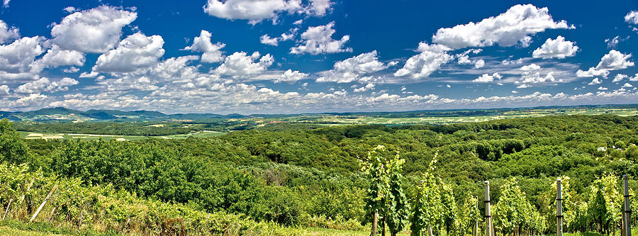 Green landscape panorama under blue sky Photograph by Brch Photography