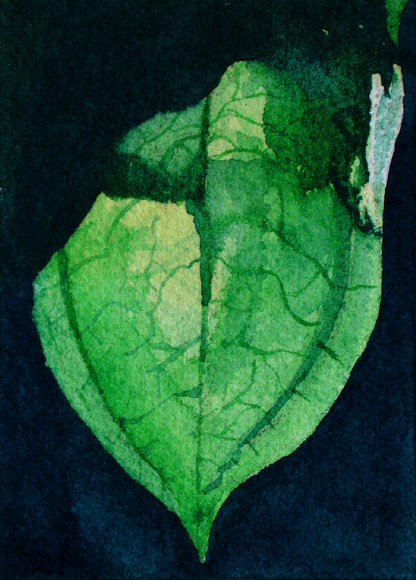 Fall Painting - Green Leaf by Cory Behara