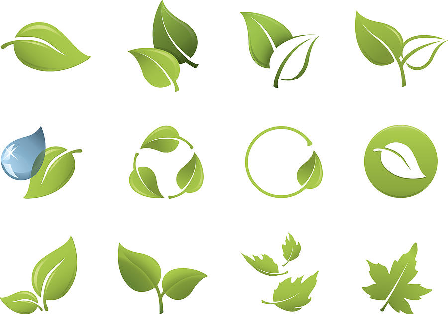 Green leaf icons Drawing by Logorilla