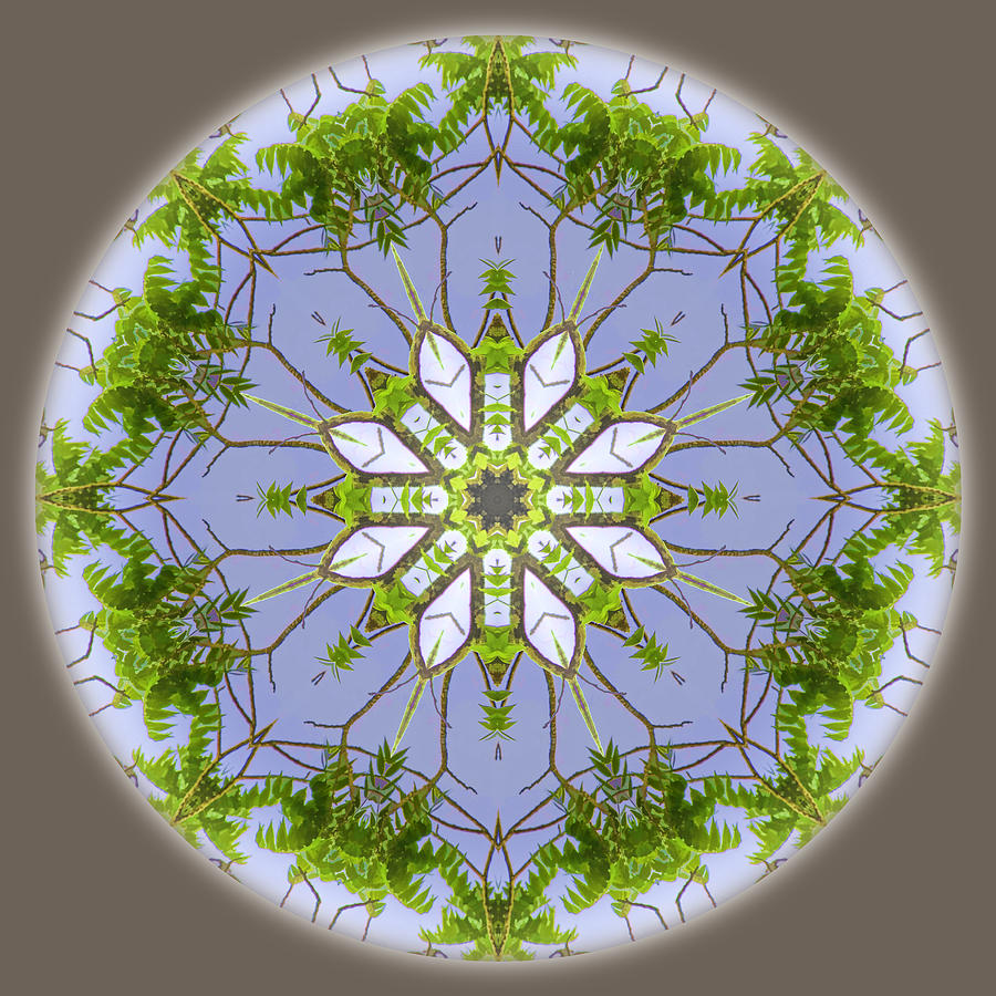 Green Leaves Mandala Digital Art by Beth Sawickie
