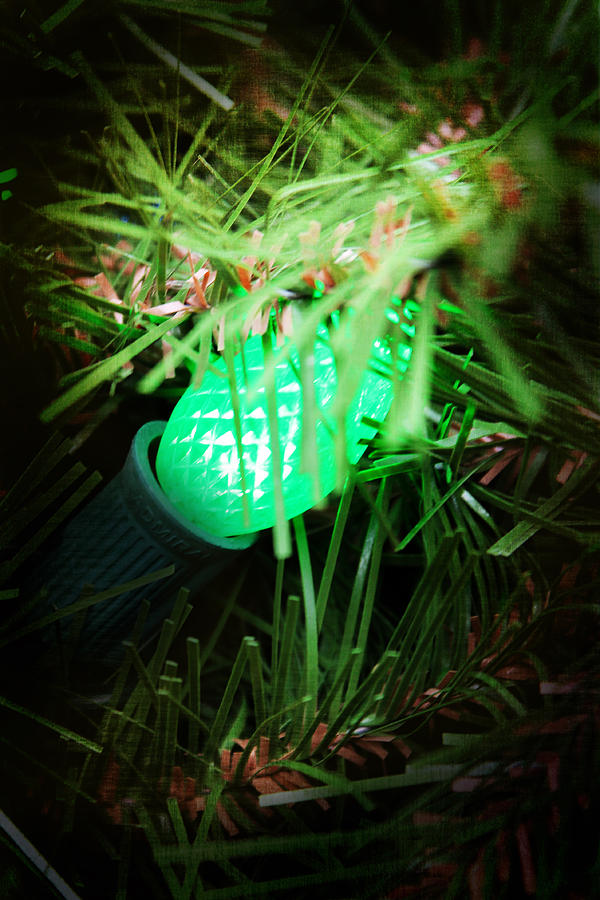 Christmas Photograph - Green Light by Robin Lewis