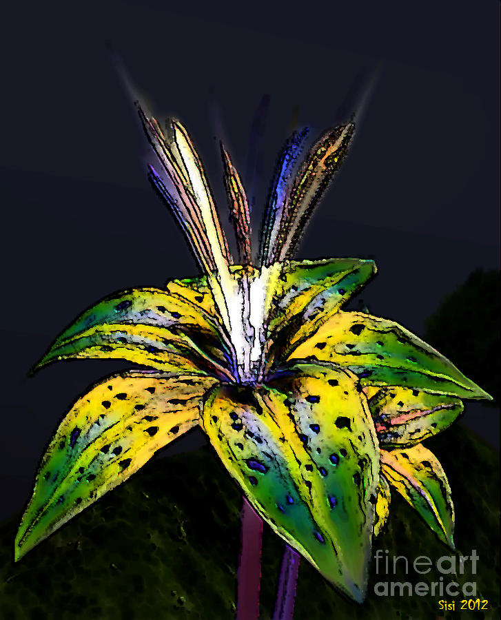 Green lily Digital Art by Susanne Baumann