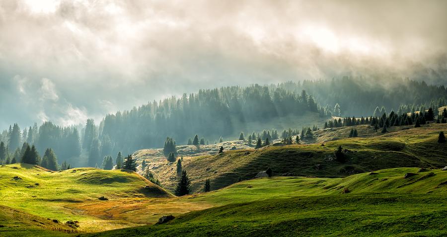 Green, lush and misty scenery on Alp Flix in Prc Ela, Graubünden Photograph by Patmeierphotography.com