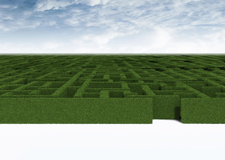 Green Maze Photograph by Fanatic Studio / Science Photo Library - Pixels