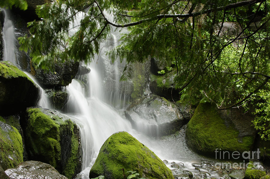 Water Photograph - Green Moss Waterfall by Tina Hailey