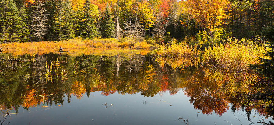 Vermont Beaver Pond Photograph by Vance Bell