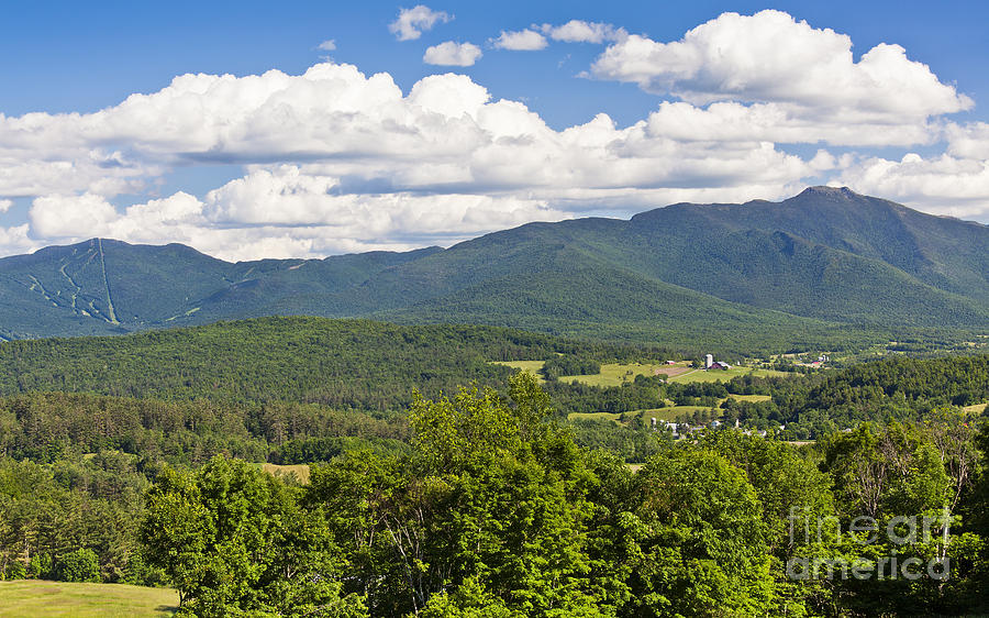 Green Mountains Summer View Photograph by Alan L Graham