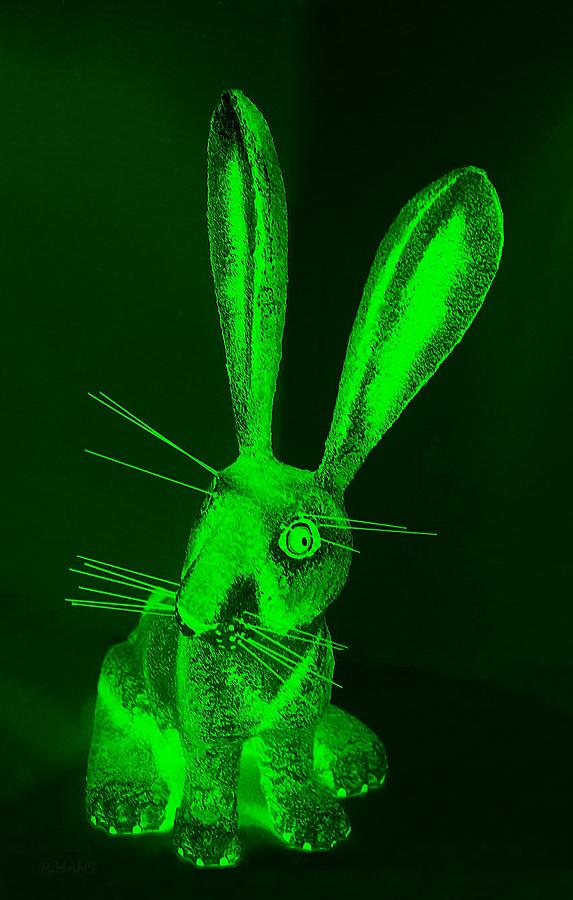 Abstract Photograph - Green New Mexico Rabbit by Rob Hans