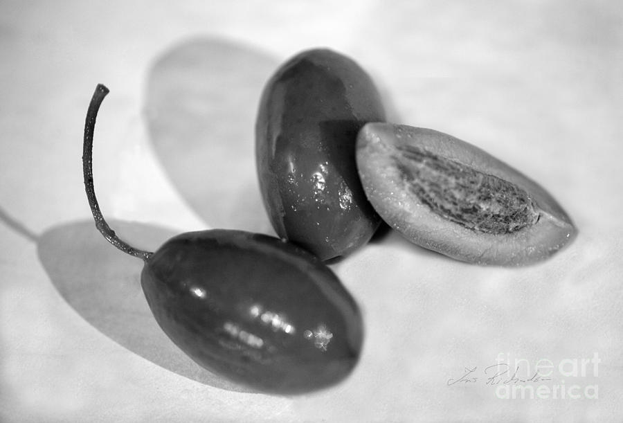 Green Olives Still Olea europaea in Black and White Photograph by Iris Richardson