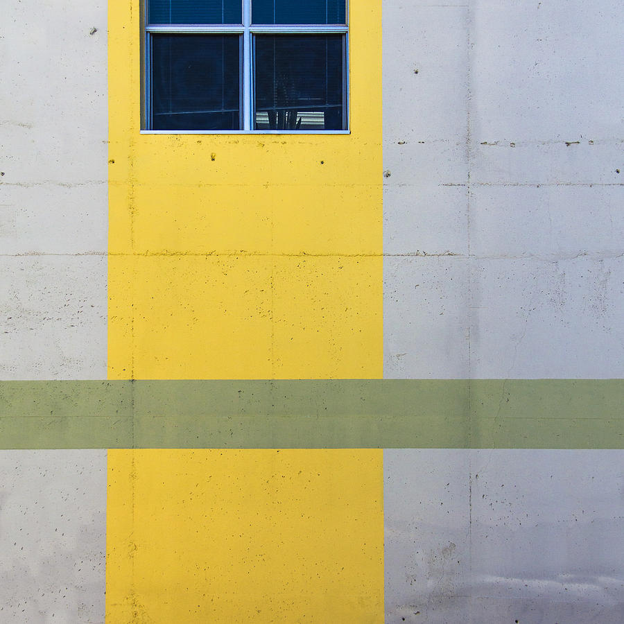 Green On Yellow Photograph by Lee Harland
