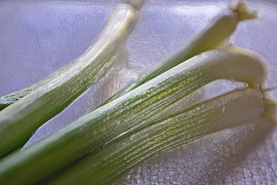 Green Onions II Photograph by Bill Owen