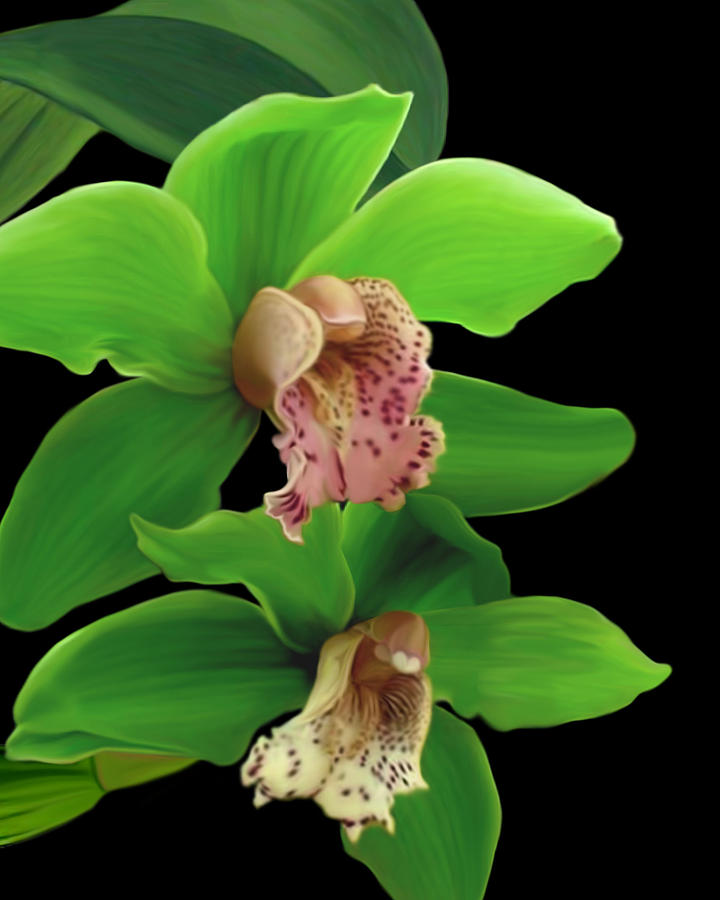 Green Orchids Mixed Media by Anthony Seeker