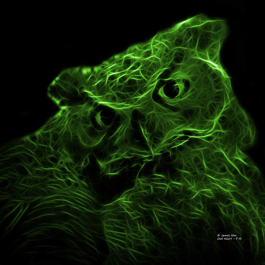 Green Owl 4229 - F M Digital Art by James Ahn