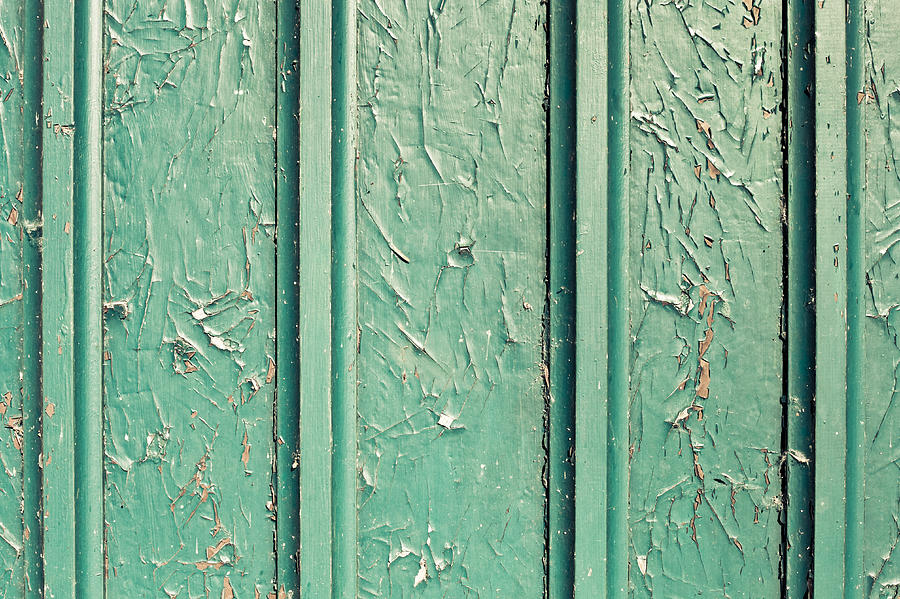 Vintage Photograph - Green painted wood by Tom Gowanlock