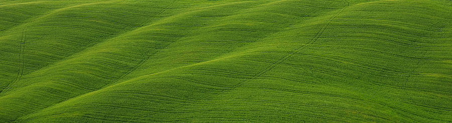 Green panorama Photograph by Ivan Slosar