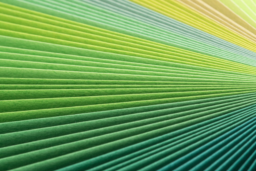 Green Paper Pages Stack Radial Gradient Photograph by MirageC