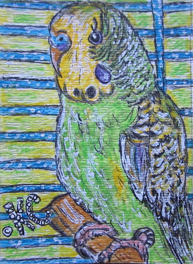 Green Parakeet Painting by Kathy Marrs Chandler