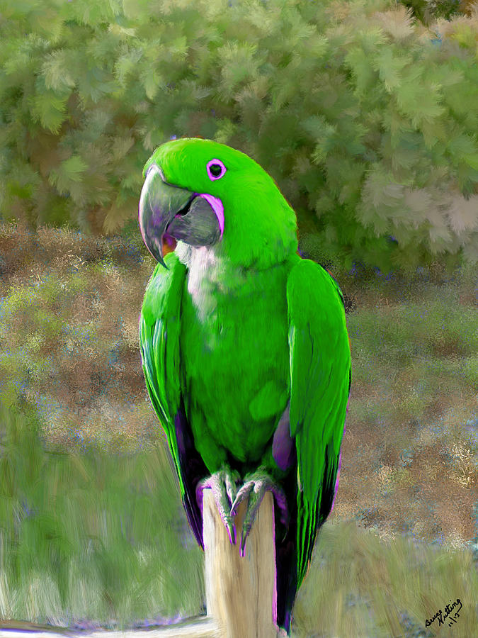 Green Parroquet Painting by Bruce Nutting