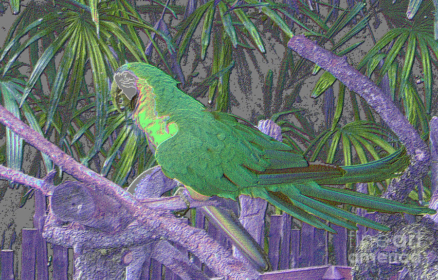 Green Parrot Digital Art by Oksana Semenchenko
