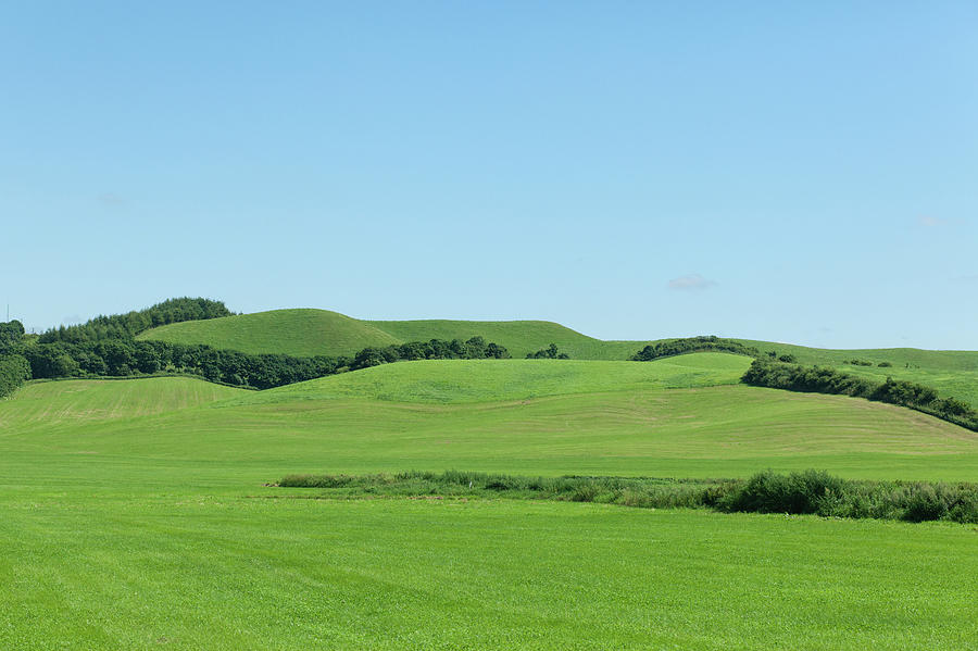 Nature Photograph - Green Pasture Land by Ippei Naoi