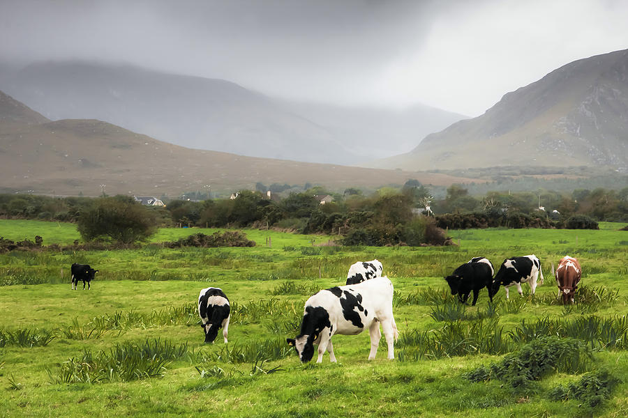 Green Pastures Photograph by Mark Callanan