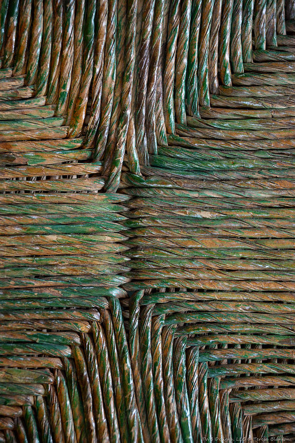 Green pattern Photograph by Teresa Blanton